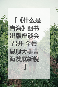 《什么是青海》图书出版座谈会召开 全景展现大美青海发展新貌