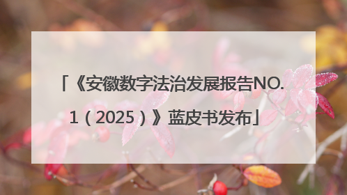 《安徽数字法治发展报告NO.1（2025）》蓝皮书发布
