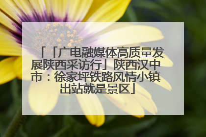 「广电融媒体高质量发展陕西采访行」陕西汉中市：徐家坪铁路风情小镇 出站就是景区