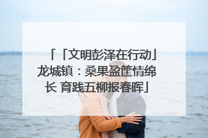「文明彭泽在行动」龙城镇：桑果盈筐情绵长 育践五柳报春晖