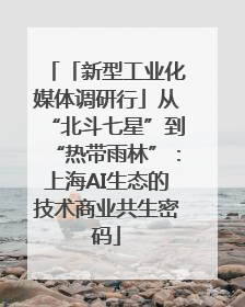 「新型工业化媒体调研行」从“北斗七星”到“热带雨林”：上海AI生态的技术商业共生密码
