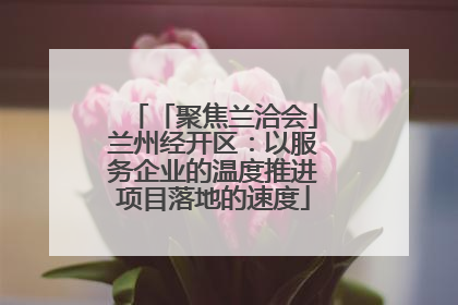 「聚焦兰洽会」兰州经开区：以服务企业的温度推进项目落地的速度
