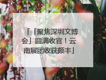 「聚焦深圳文博会」圆满收官！云南展团收获颇丰