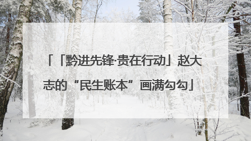 「黔进先锋·贵在行动」赵大志的“民生账本”画满勾勾
