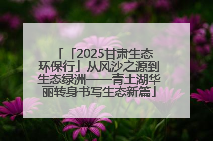 「2025甘肃生态环保行」从风沙之源到生态绿洲——青土湖华丽转身书写生态新篇