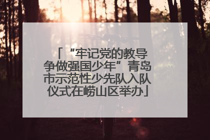 “牢记党的教导 争做强国少年”青岛市示范性少先队入队仪式在崂山区举办