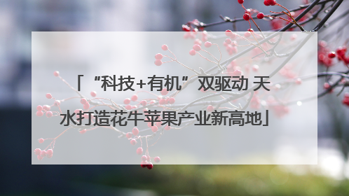 “科技+有机”双驱动 天水打造花牛苹果产业新高地