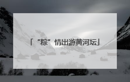 “粽”情出游黄河坛