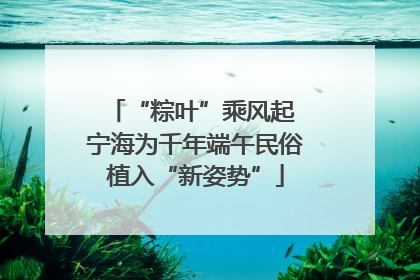 “粽叶”乘风起 宁海为千年端午民俗植入“新姿势”