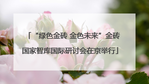 “绿色金砖 金色未来”金砖国家智库国际研讨会在京举行