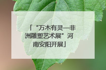 “万木有灵—非洲雕塑艺术展”河南安阳开展