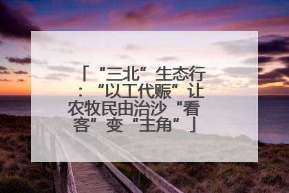 “三北”生态行：“以工代赈”让农牧民由治沙“看客”变“主角”