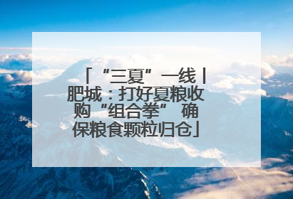 “三夏”一线丨肥城：打好夏粮收购“组合拳” 确保粮食颗粒归仓