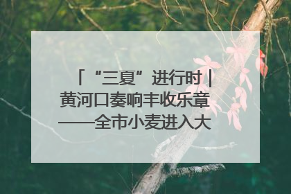 “三夏”进行时｜黄河口奏响丰收乐章——全市小麦进入大面积收获高峰期