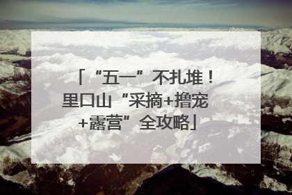 “五一”不扎堆！里口山“采摘+撸宠+露营”全攻略