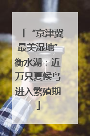 “京津冀最美湿地”衡水湖：近万只夏候鸟进入繁殖期