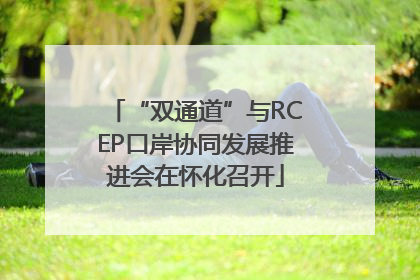 “双通道”与RCEP口岸协同发展推进会在怀化召开
