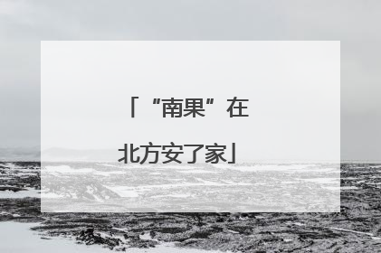 “南果”在北方安了家