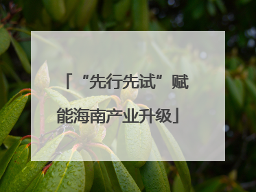 “先行先试”赋能海南产业升级