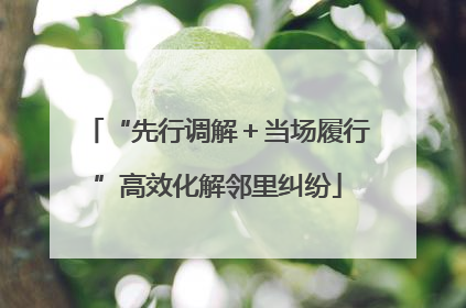 “先行调解＋当场履行”高效化解邻里纠纷