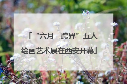 “六月 - 跨界”五人绘画艺术展在西安开幕
