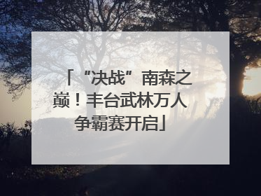 “决战”南森之巅！丰台武林万人争霸赛开启