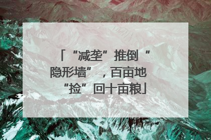 “减垄”推倒“隐形墙”，百亩地“捡”回十亩粮