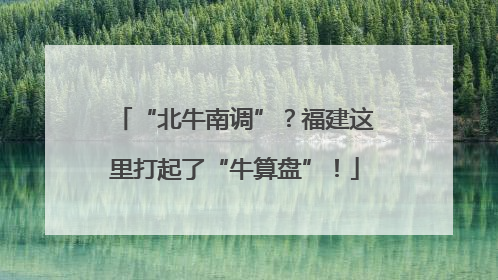 “北牛南调”？福建这里打起了“牛算盘”！