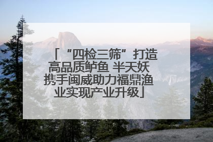 “四检三筛”打造高品质鲈鱼 半天妖携手闽威助力福鼎渔业实现产业升级