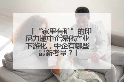 “家里有矿”的印尼力邀中企深化产业下游化，中企有哪些最新考量？