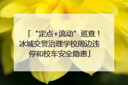 “定点+流动”巡查！冰城交警治理学校周边违停和校车安全隐患