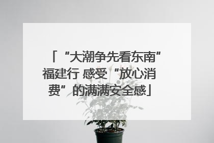 “大潮争先看东南”福建行 感受“放心消费”的满满安全感