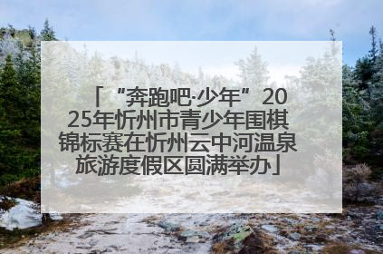 “奔跑吧·少年”2025年忻州市青少年围棋锦标赛在忻州云中河温泉旅游度假区圆满举办