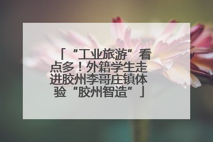 “工业旅游”看点多！外籍学生走进胶州李哥庄镇体验“胶州智造”