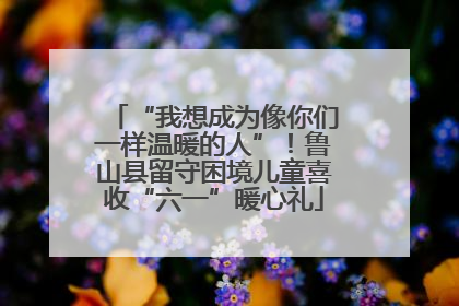 “我想成为像你们一样温暖的人”！鲁山县留守困境儿童喜收“六一”暖心礼