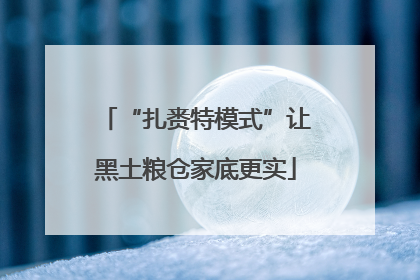 “扎赉特模式”让黑土粮仓家底更实