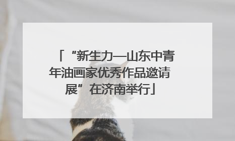 “新生力—山东中青年油画家优秀作品邀请展”在济南举行