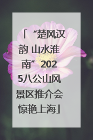 “楚风汉韵 山水淮南”2025八公山风景区推介会惊艳上海