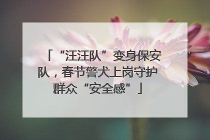 “汪汪队”变身保安队，春节警犬上岗守护群众“安全感”