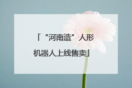 “河南造”人形机器人上线售卖