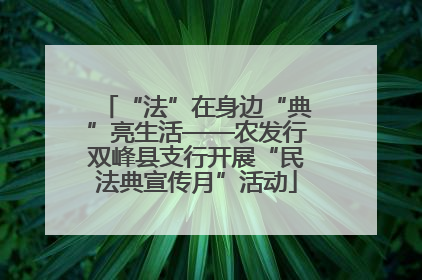 “法”在身边“典”亮生活——农发行双峰县支行开展“民法典宣传月”活动