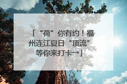 “荷”你有约！福州连江夏日“顶流”等你来打卡→