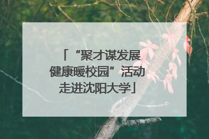“聚才谋发展 健康暖校园”活动走进沈阳大学