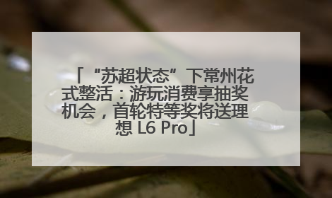 “苏超状态”下常州花式整活：游玩消费享抽奖机会，首轮特等奖将送理想 L6 Pro