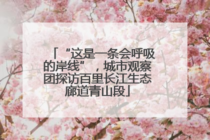 “这是一条会呼吸的岸线”，城市观察团探访百里长江生态廊道青山段