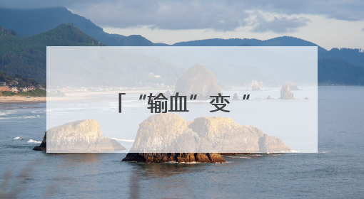 “输血”变“造血”共赢 粤桂协作助百色芒果畅销大湾区