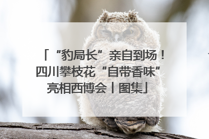 “豹局长”亲自到场！四川攀枝花“自带香味”亮相西博会丨图集