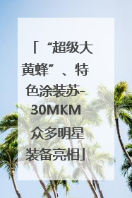 “超级大黄蜂”、特色涂装苏-30MKM 众多明星装备亮相