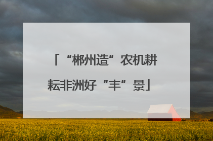 “郴州造”农机耕耘非洲好“丰”景
