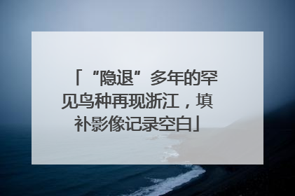 “隐退”多年的罕见鸟种再现浙江，填补影像记录空白